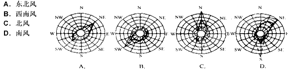 下列四个风玫瑰图中关于夏季主导风向的说明,何者是错误的?()