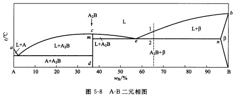 请回答下列问题①指出相图中的单相区②分析wb=65%的合金的平衡凝固