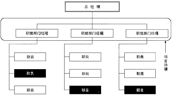 直线型 b.直线职能型 c.功能型 d.