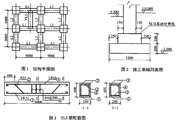 剖面图和断面图分别是()的投影.